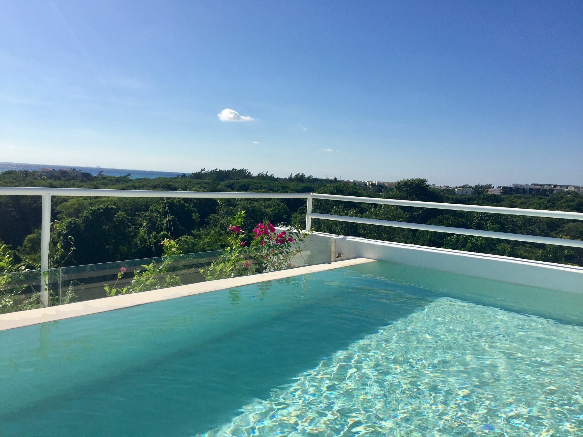 Ocean Zen Suites On 5Th Avenue - Adults Only 신데 델 카르멘 외부 사진