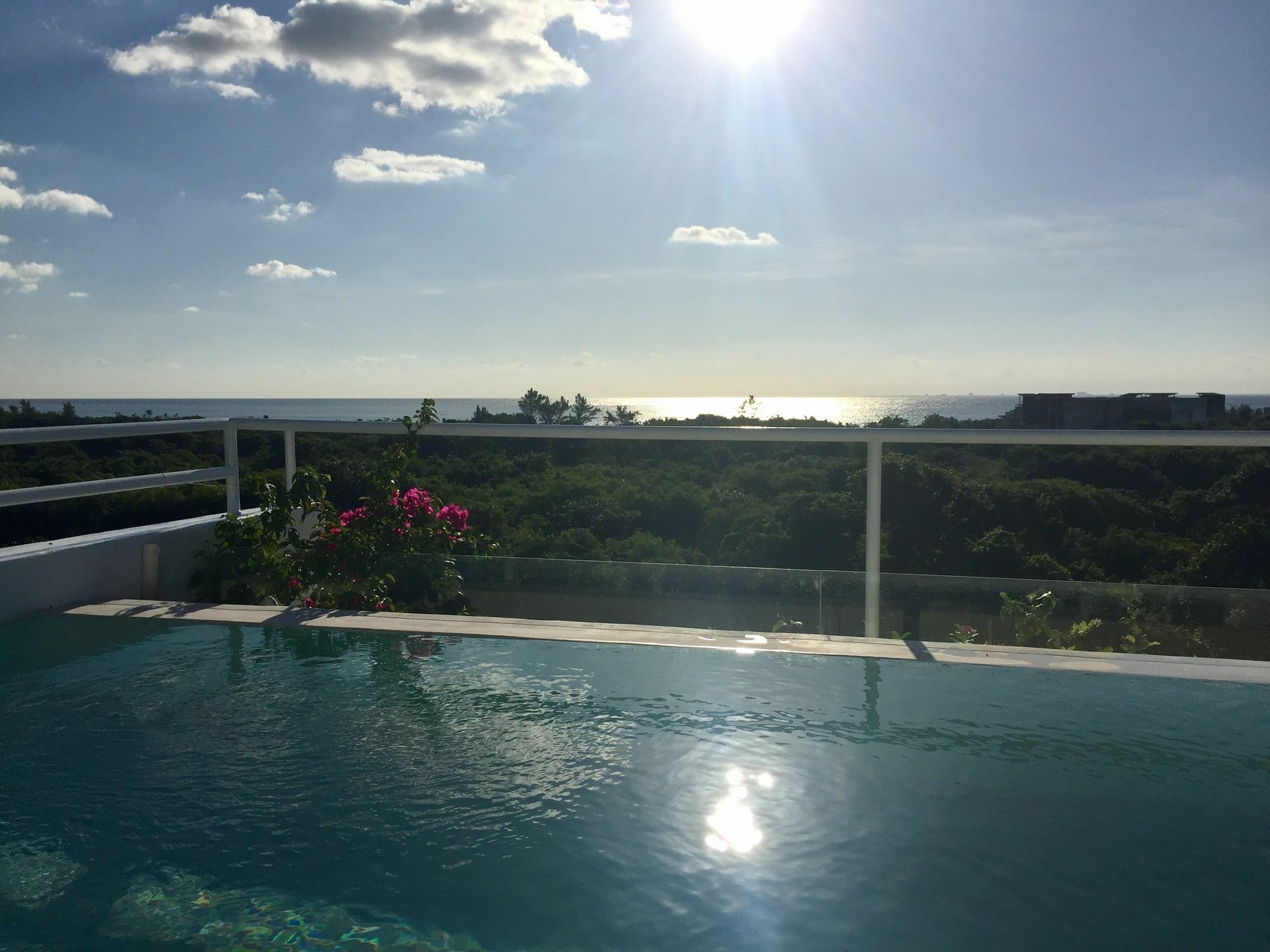 Ocean Zen Suites On 5Th Avenue - Adults Only 신데 델 카르멘 외부 사진